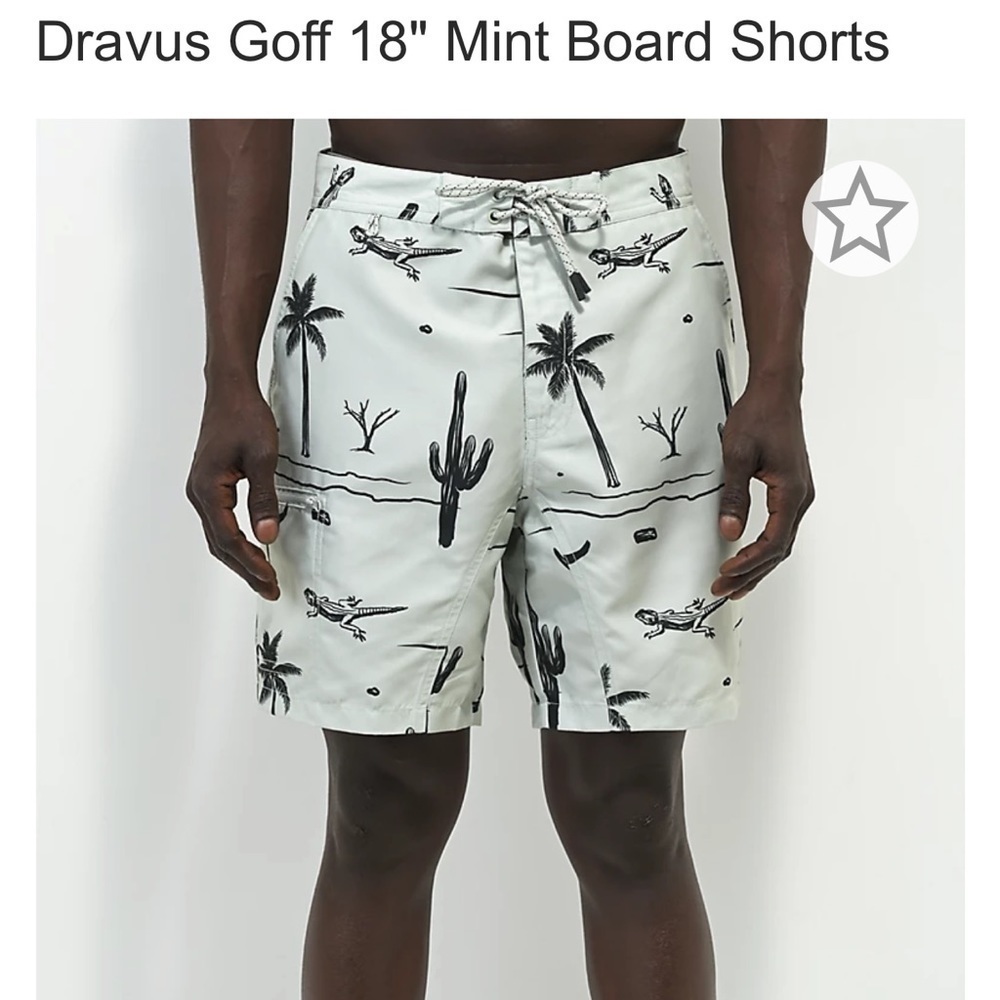 Mens Dravus Shorts | Gulch Mint
Board Shorts Light‎ | Pastel Blue/green size 32
